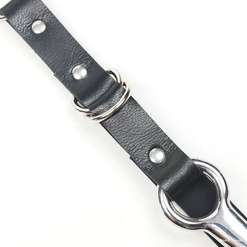 5853 Leash EverydayUse Kinky and Hook with Collar Anal 1213